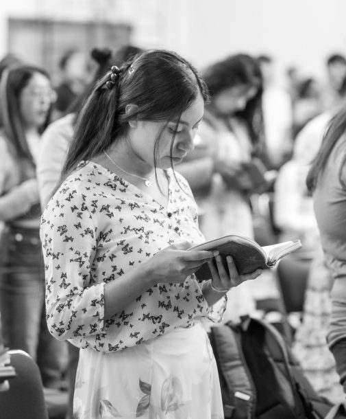 pexels-israwmx-22046790